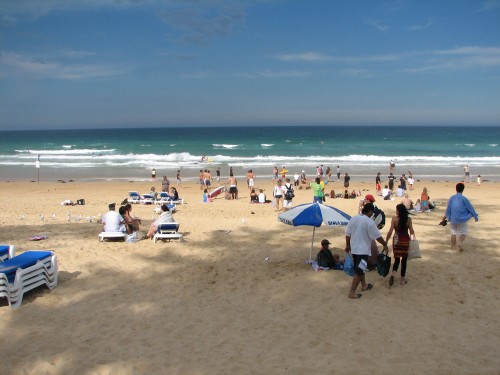 Manly Beach, Sydney