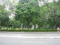 Hyde Park, Sydney