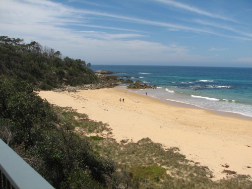 Mimosa Rocks National Park, south coast NSW Mimosa Rocks National Park, south coast NSW