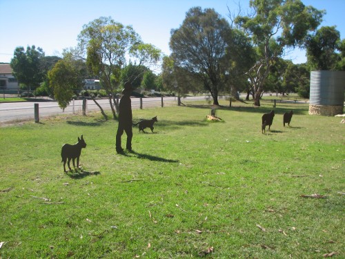 Farming display, Tintinara, SE South Australia
