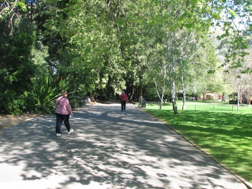 Adelaide Botanic Gardens, South Australia Adelaide Botanic Gardens, South Australia