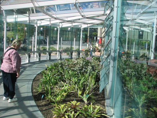 Adelaide Botanic Gardens, South Australia Adelaide Botanic Gardens, South Australia