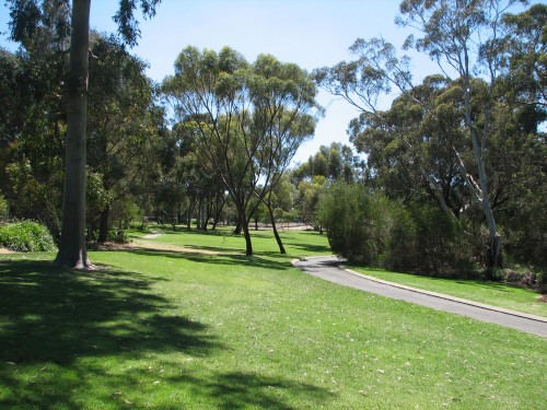 Wittunga Botanic Gardens, Blackwood, South Australia Wittunga Botanic Gardens, Blackwood, South Australia