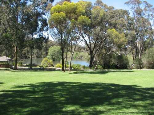 Wittunga Botanic Gardens, Blackwood, South Australia Wittunga Botanic Gardens, Blackwood, South Australia