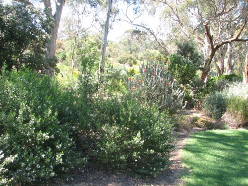 Wittunga Botanic Gardens, Blackwood, South Australia Wittunga Botanic Gardens, Blackwood, South Australia
