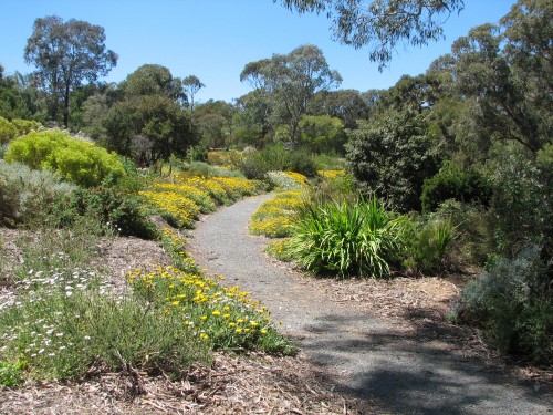 Wittunga Botanic Gardens, Blackwood, South Australia Wittunga Botanic Gardens, Blackwood, South Australia