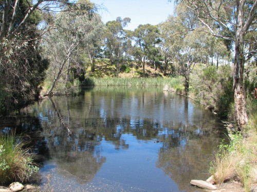 Wittunga Botanic Gardens, Blackwood, South Australia Wittunga Botanic Gardens, Blackwood, South Australia