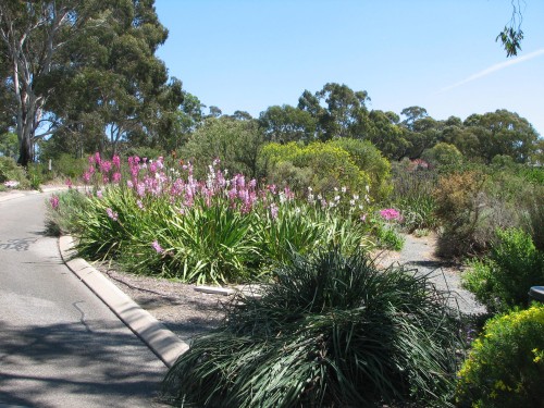 Wittunga Botanic Gardens, Blackwood, South Australia Wittunga Botanic Gardens, Blackwood, South Australia