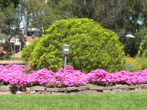 Wittunga Botanic Gardens, Blackwood, South Australia