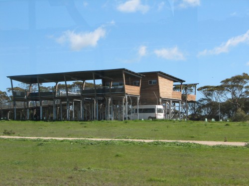 Lion viewing platform, Monarto Zoo, South Australia