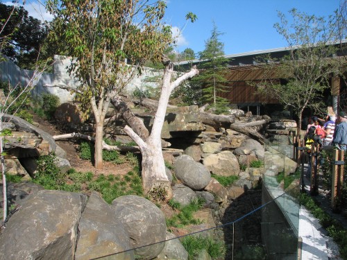 Giant Panda enclosure, Adelaide Zoo, South Australia
