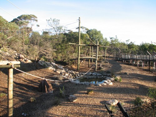 New Chimp enclosure, Monarto Zoo, South Australia