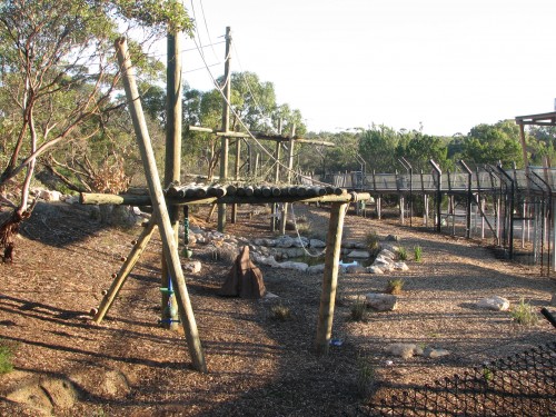 New Chimp enclosure, Monarto Zoo, South Australia
