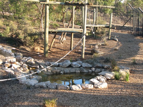 New Chimp enclosure, Monarto Zoo, South Australia