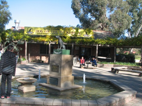 Morning tea at the Dog on the Tuckerbox, Gundagai, NSW