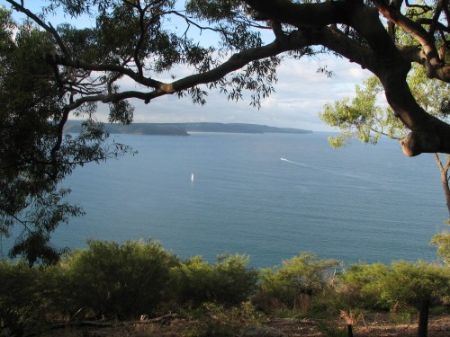 Broken Bay from West Head Lookout