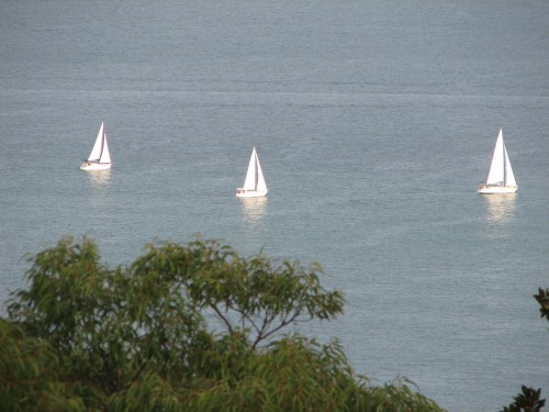 Broken Bay from West Head Lookout