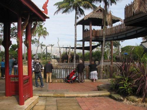 Elephant enclosure, Taronga Zoo, Sydney