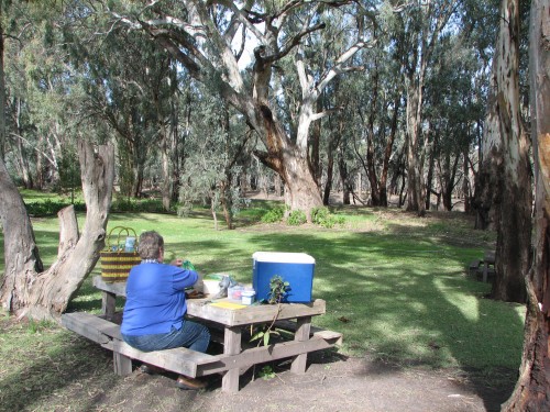 Lunch on the banks of the Murrumbidgee River, Balranald