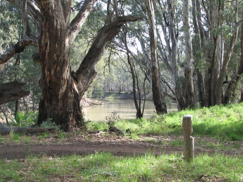 On the banks of the Murrumbidgee River, Balranald