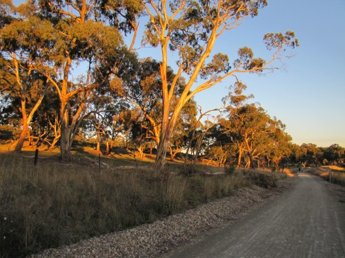 Sunset along the Riesling Trail near Clare, South Australia