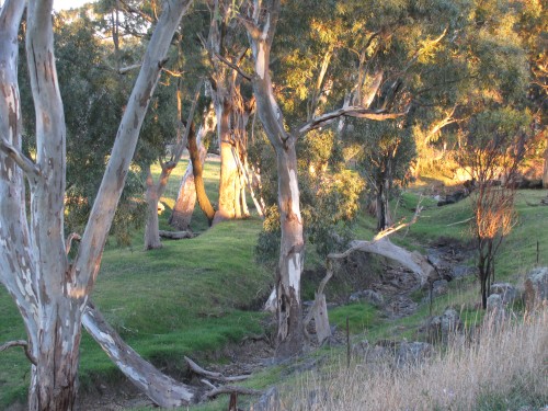 Creek bed at sunset along the Riesling Trail near Clare, South Australia