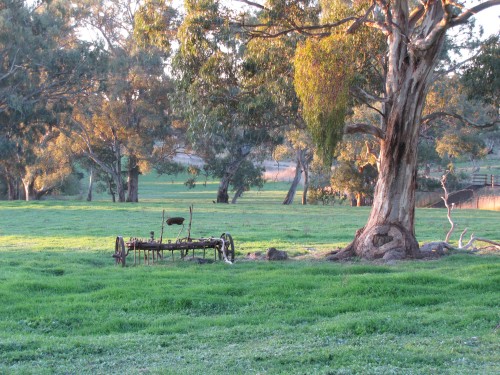 Old plough along the Riesling Trail near Clare, South Australia
