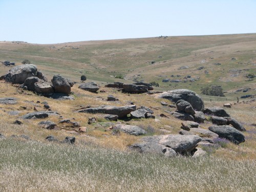 From a lookout near Palmer, South Australia