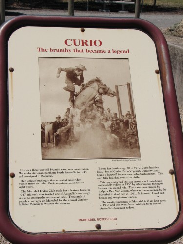 Sign about the horse Curio at Marrabel, South Australia (click to enlarge)