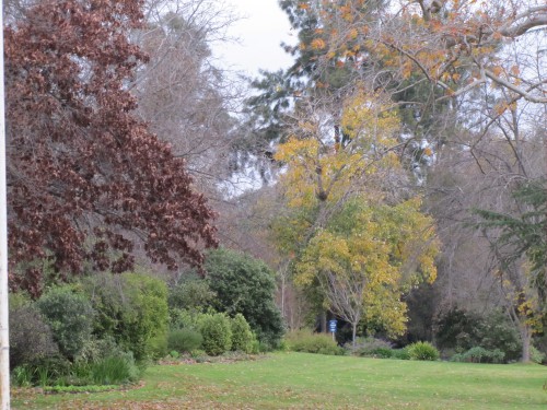 Wagga Wagga Botanic Gardens
