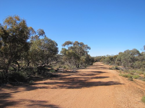 Hattah-Kulkyne National Park, Victoria