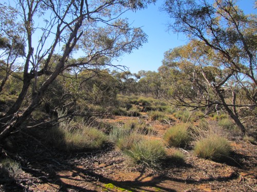 Hattah-Kulkyne National Park, Victoria