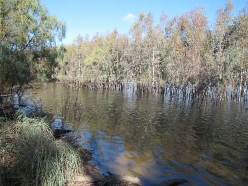 Lake Hattah, Victoria, June 2011