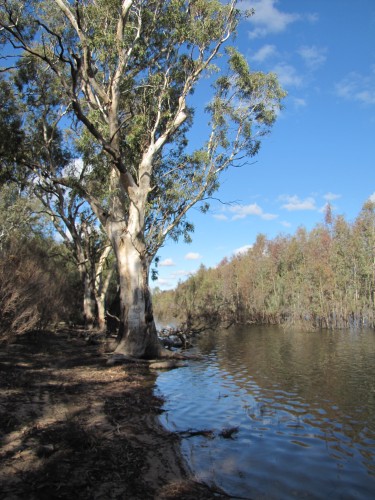 Lake Hattah, Victoria, June 2011