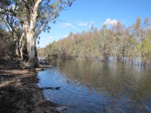 Lake Hattah, Victoria, June 2011