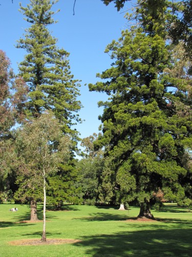 Botanic Park, Adelaide, South Australia