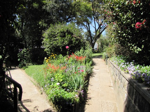 Garden of the Addis Ababa Fistula Hospital, Ethiopia