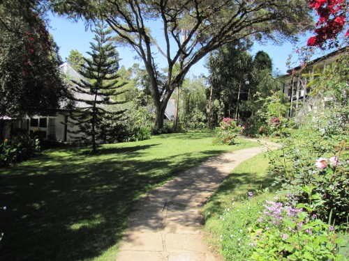 Garden of the Addis Ababa Fistula Hospital, Ethiopia