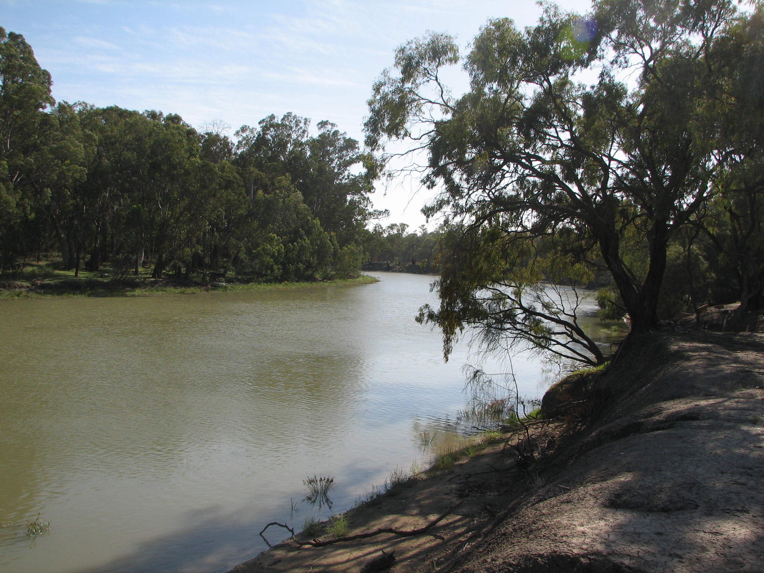 Murrumbidgee River, Hay, NSW Trevor's Travels