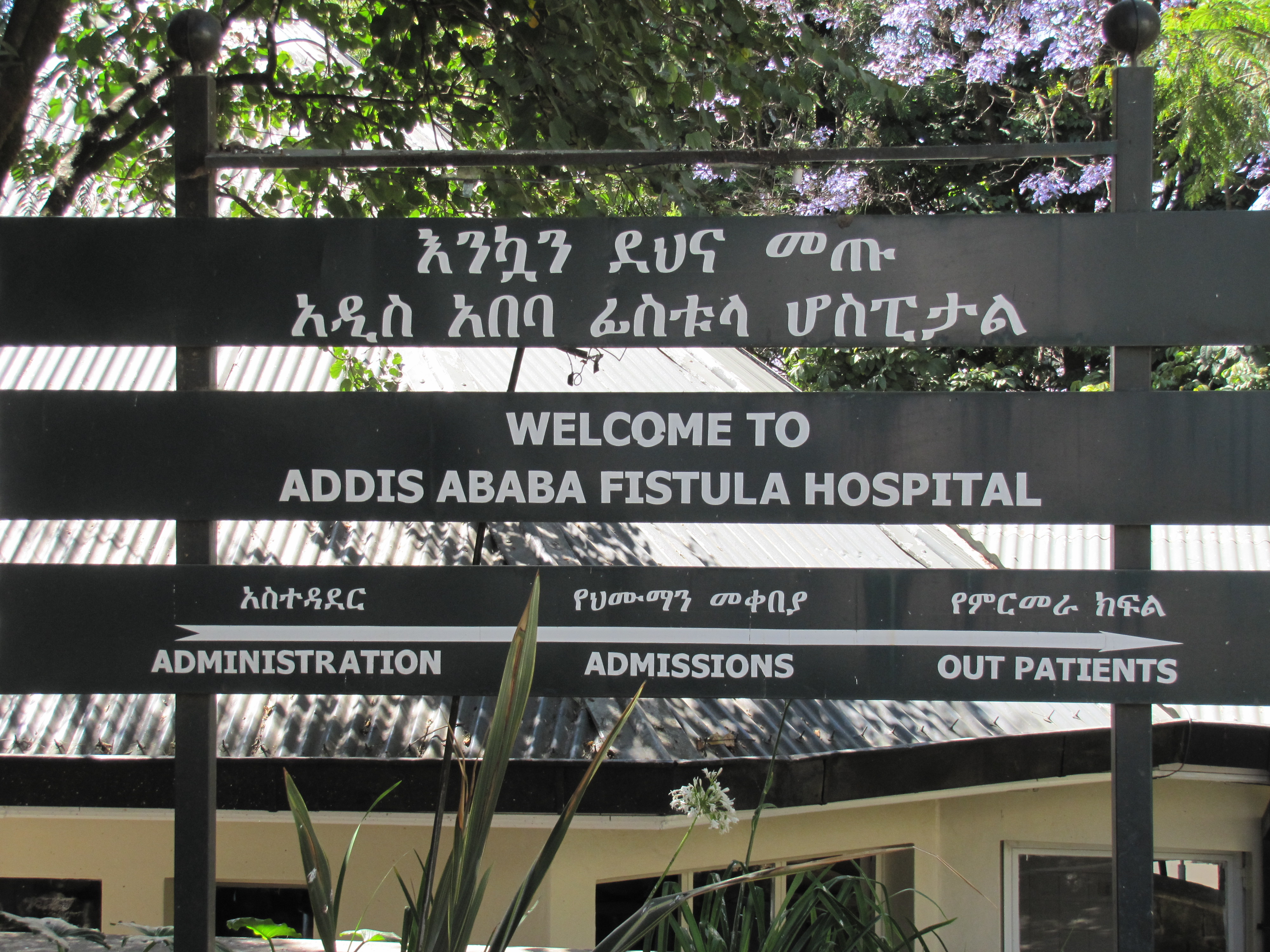 Entrance to the Addis Ababa Fistula Hospital, Ethiopia Trevor's Travels